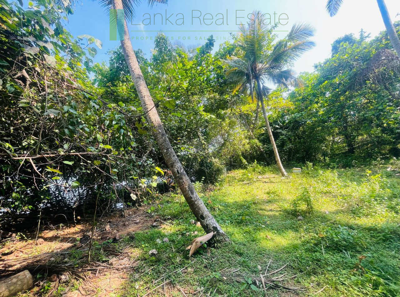 Elevated lakefront land near Galle