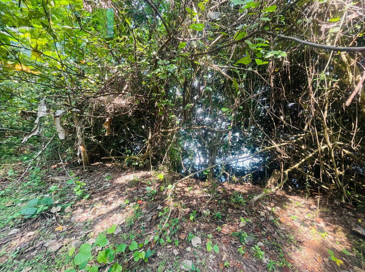 Elevated lakefront land near Galle