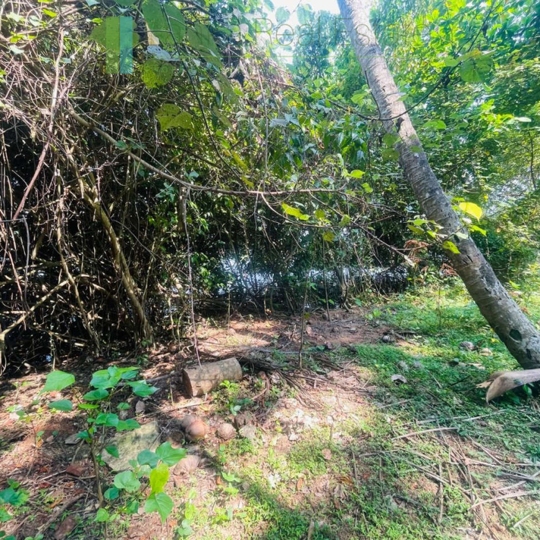 Elevated lakefront land near Galle