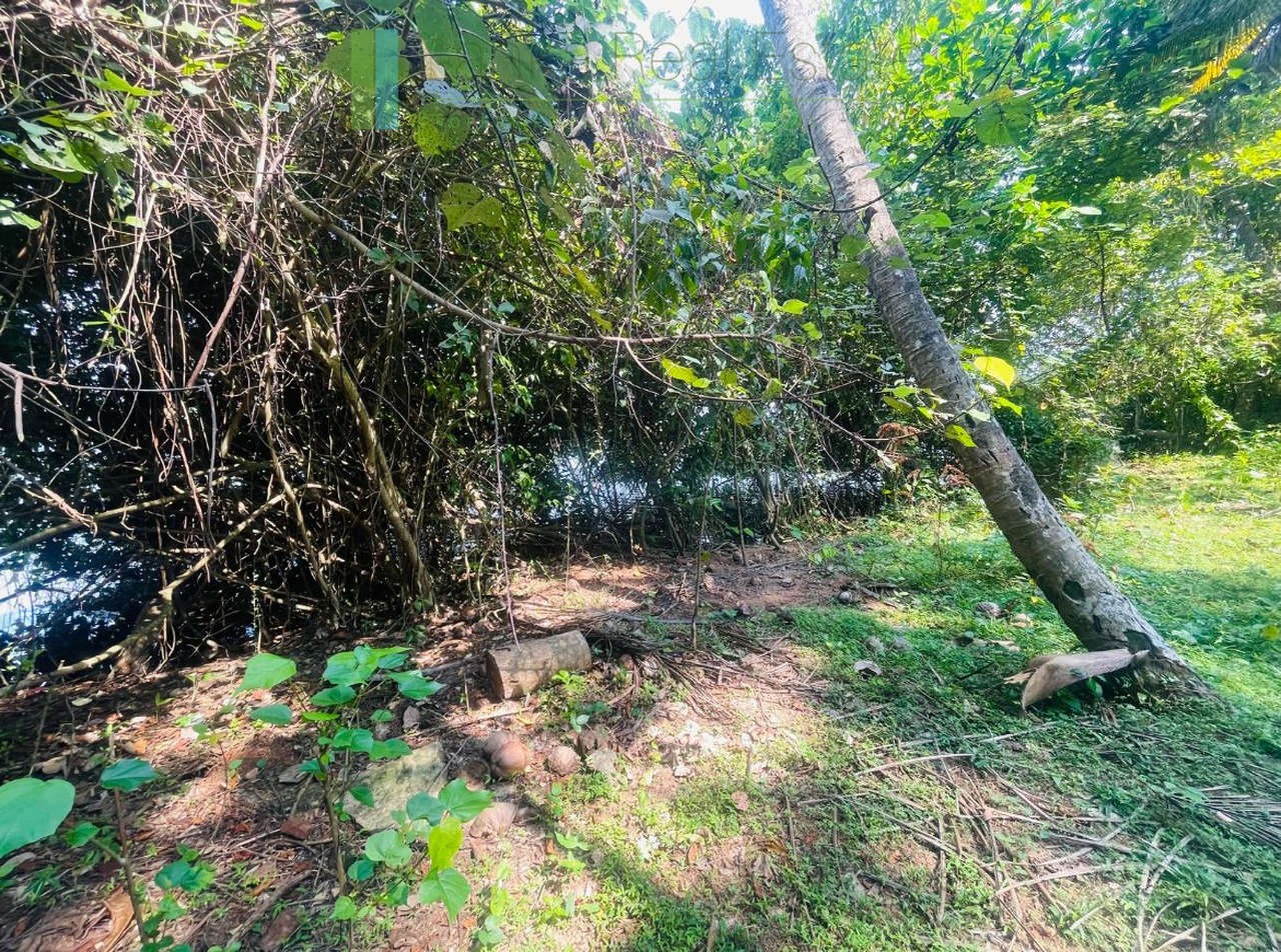 Elevated lakefront land near Galle