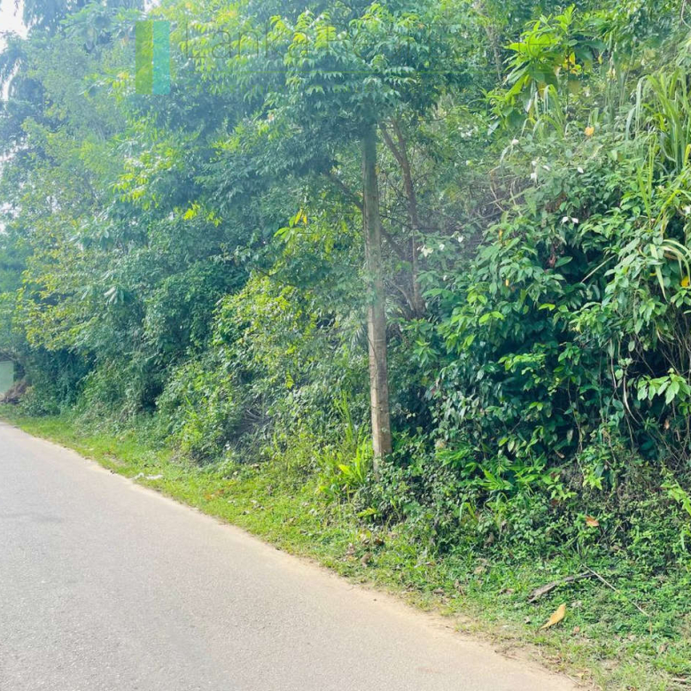 Large elevated plot in Habaraduwa