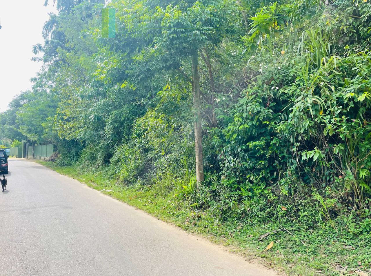 Large elevated plot in Habaraduwa