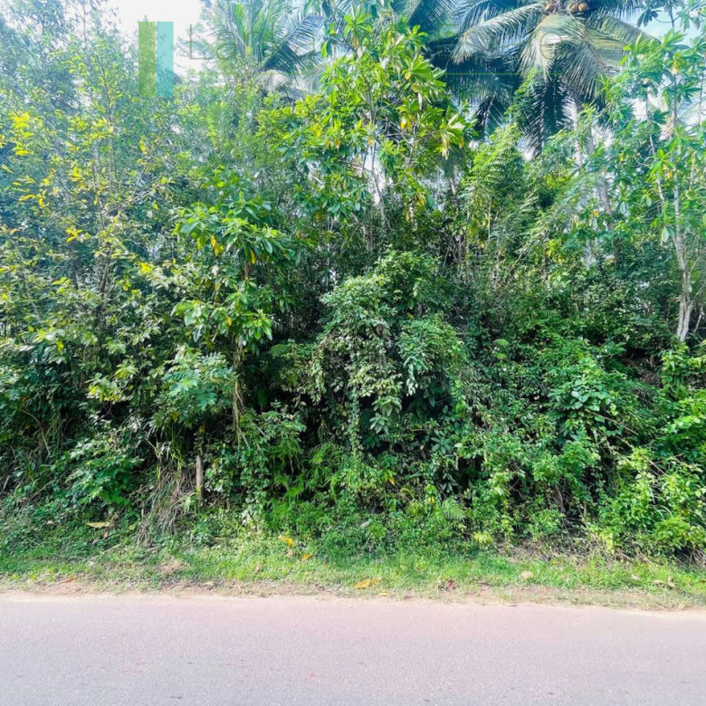 Large elevated plot in Habaraduwa
