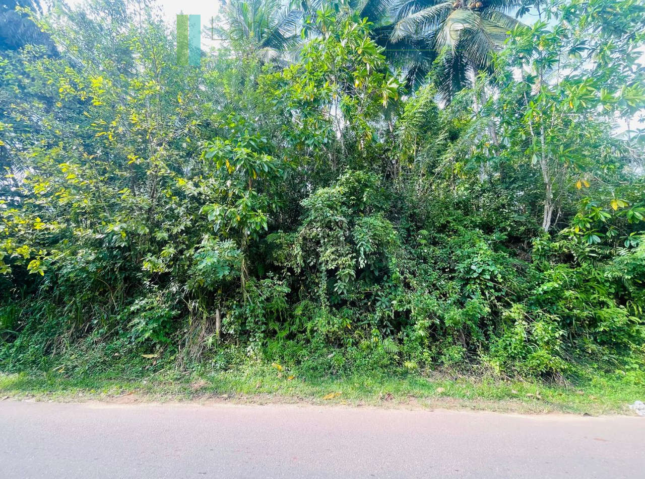 Large elevated plot in Habaraduwa