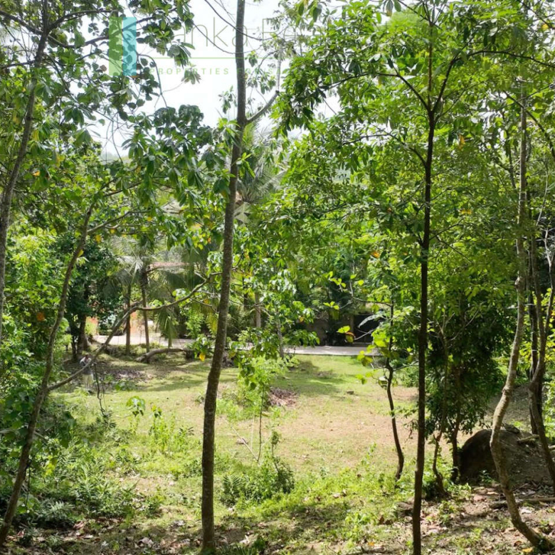 Elevated building plot near Talpe Beach