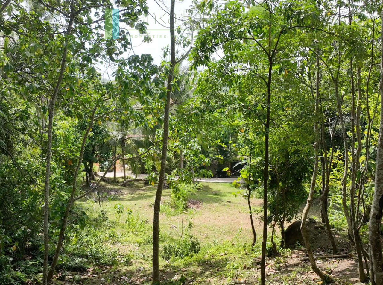 Elevated building plot near Talpe Beach