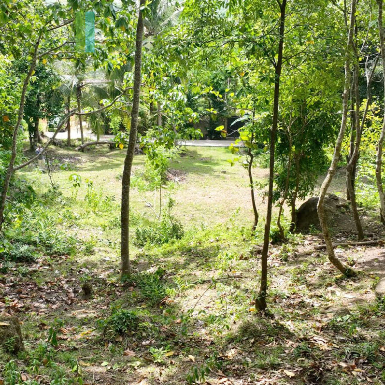 Elevated building plot near Talpe Beach