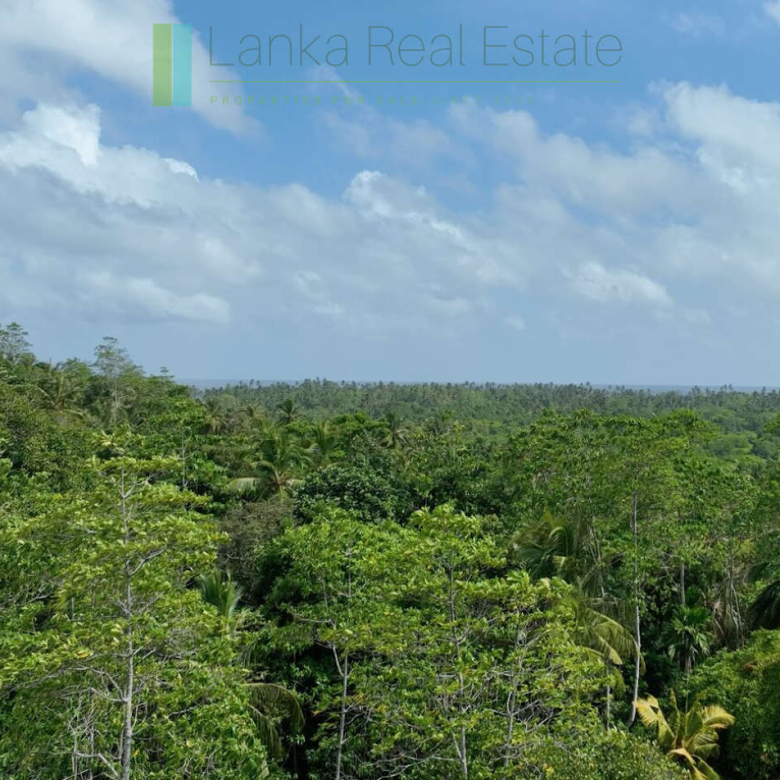 Elevated building plot near Talpe Beach