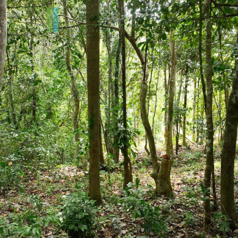 Elevated building plot near Talpe Beach