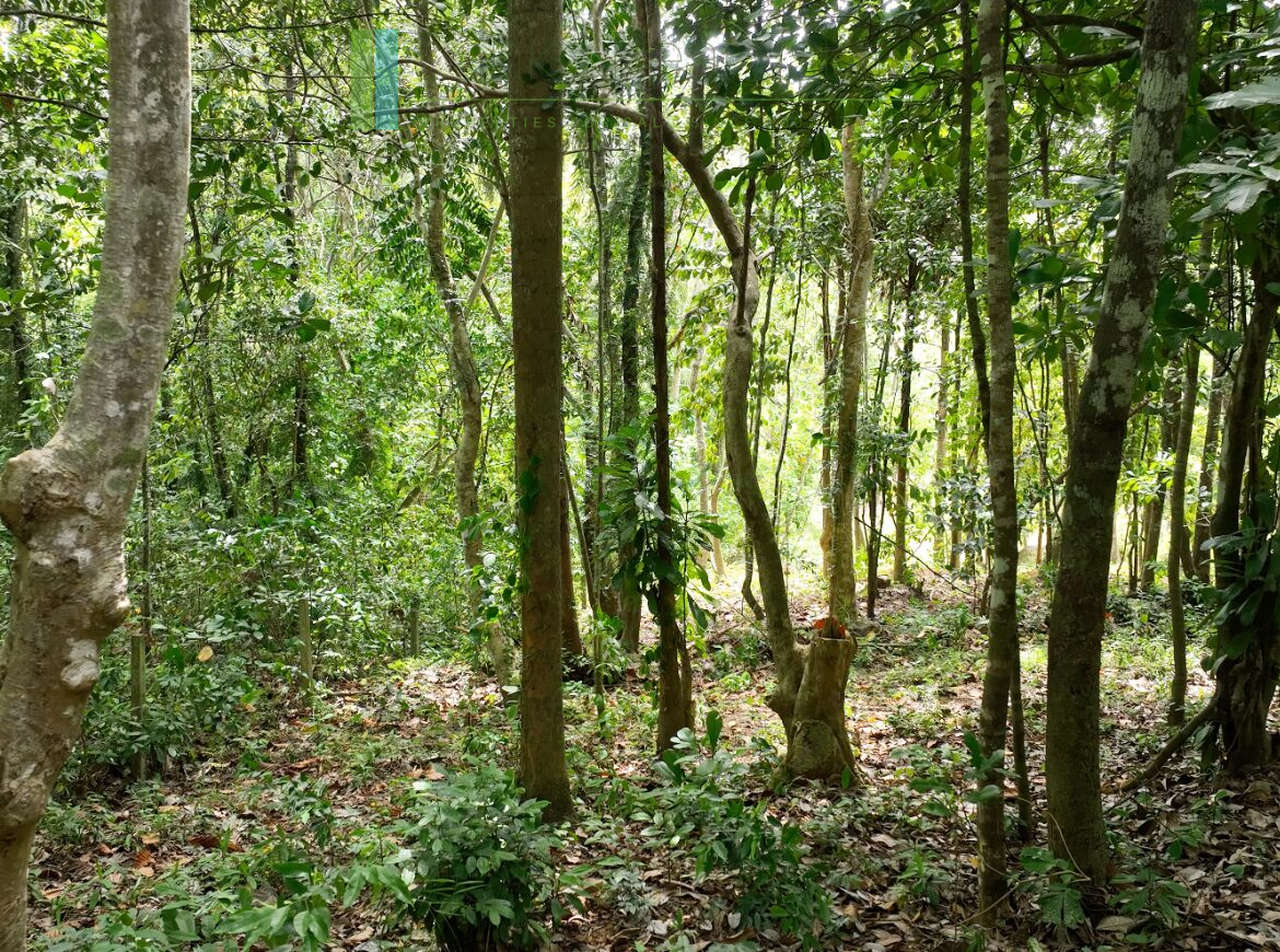Elevated building plot near Talpe Beach