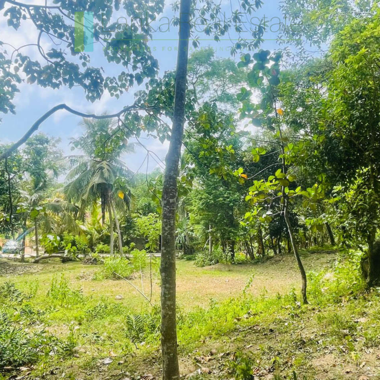 Elevated building plot near Talpe Beach