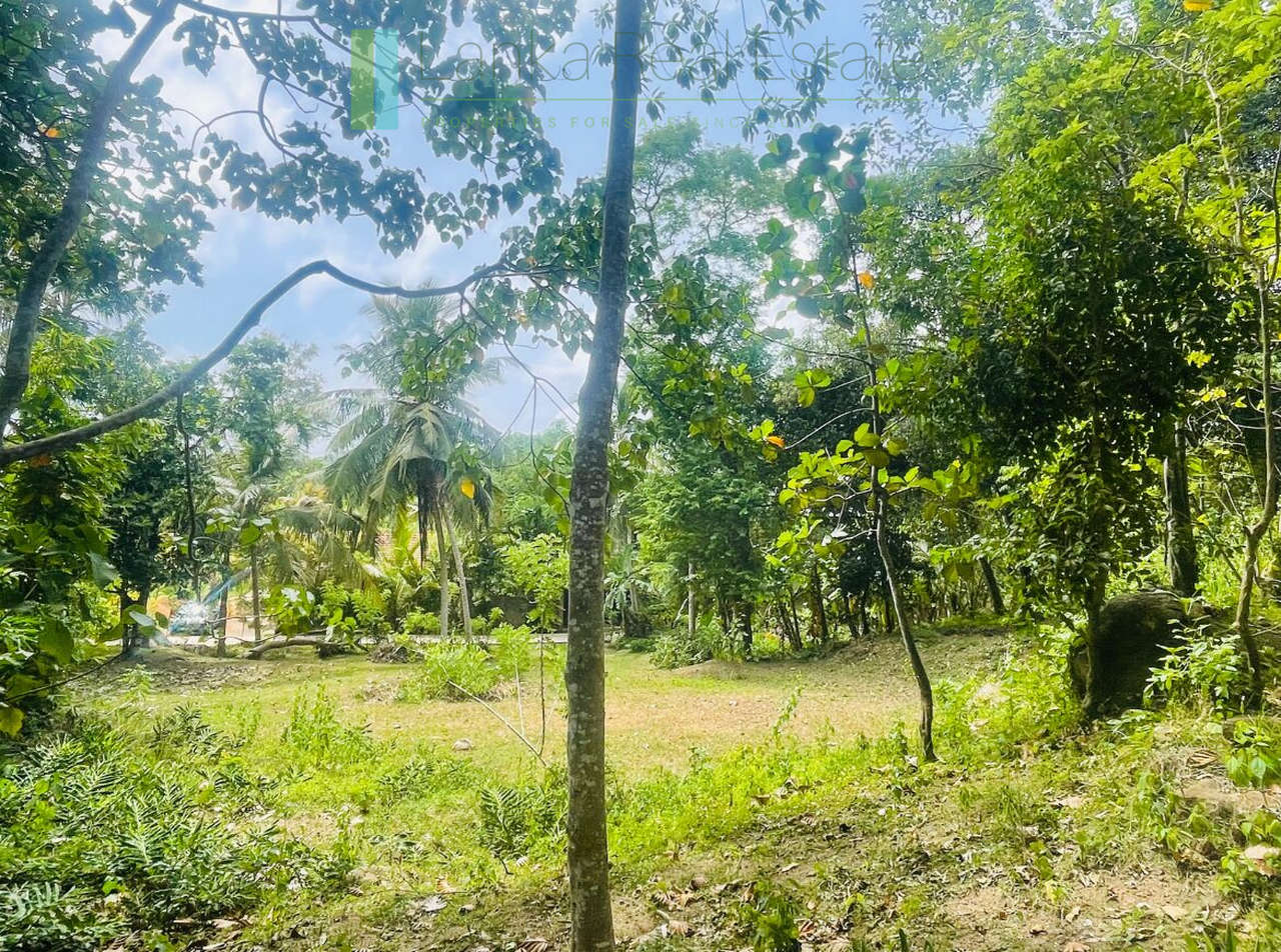 Elevated building plot near Talpe Beach
