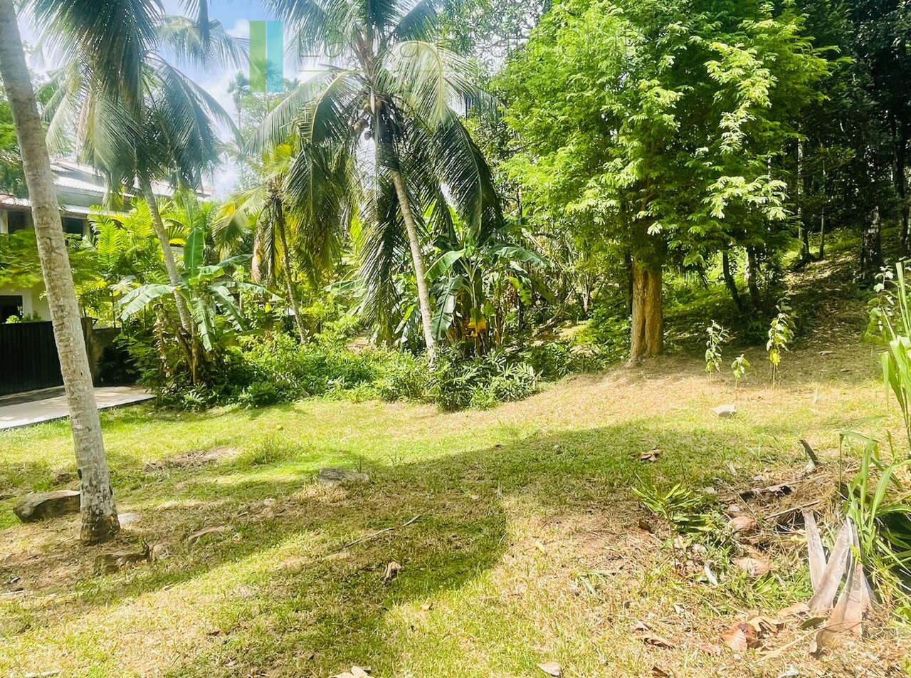 Elevated building plot near Talpe Beach