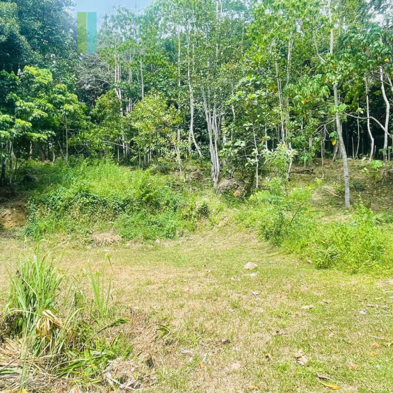 Elevated building plot near Talpe Beach