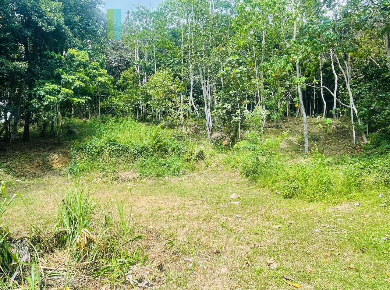 Elevated building plot near Talpe Beach