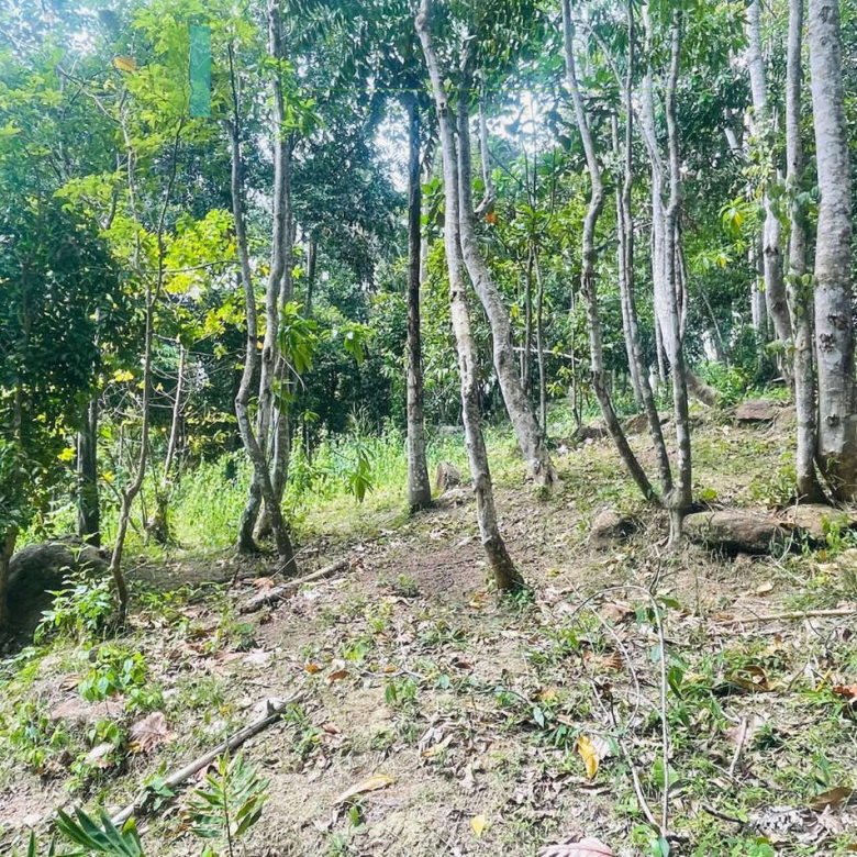 Elevated building plot near Talpe Beach