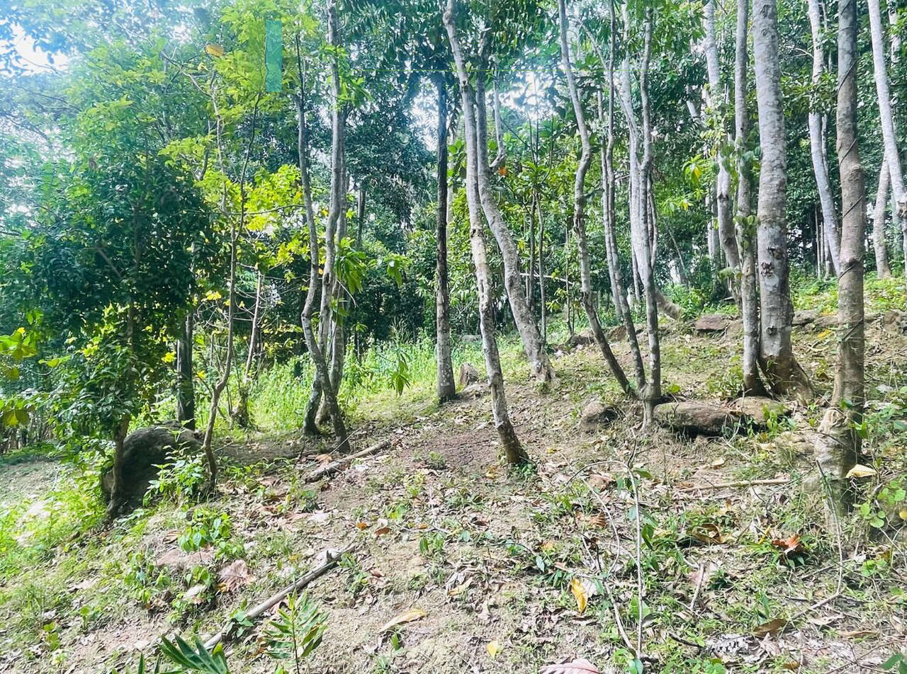 Elevated building plot near Talpe Beach