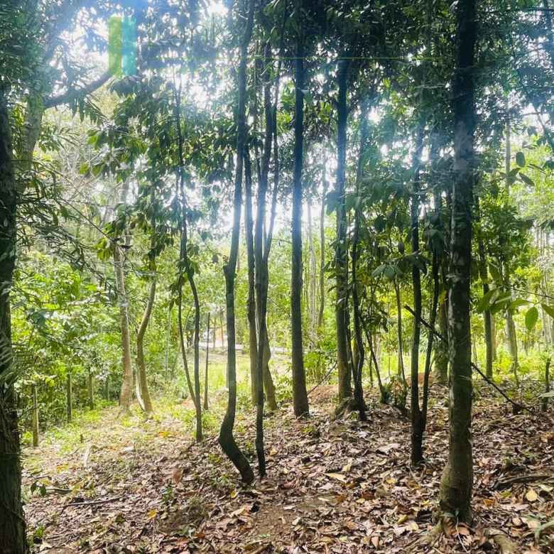 Elevated building plot near Talpe Beach