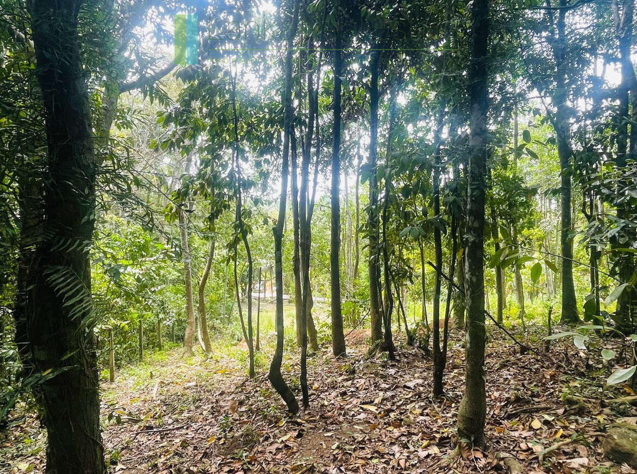 Elevated building plot near Talpe Beach