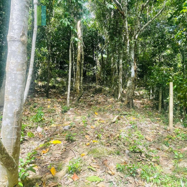 Elevated building plot near Talpe Beach