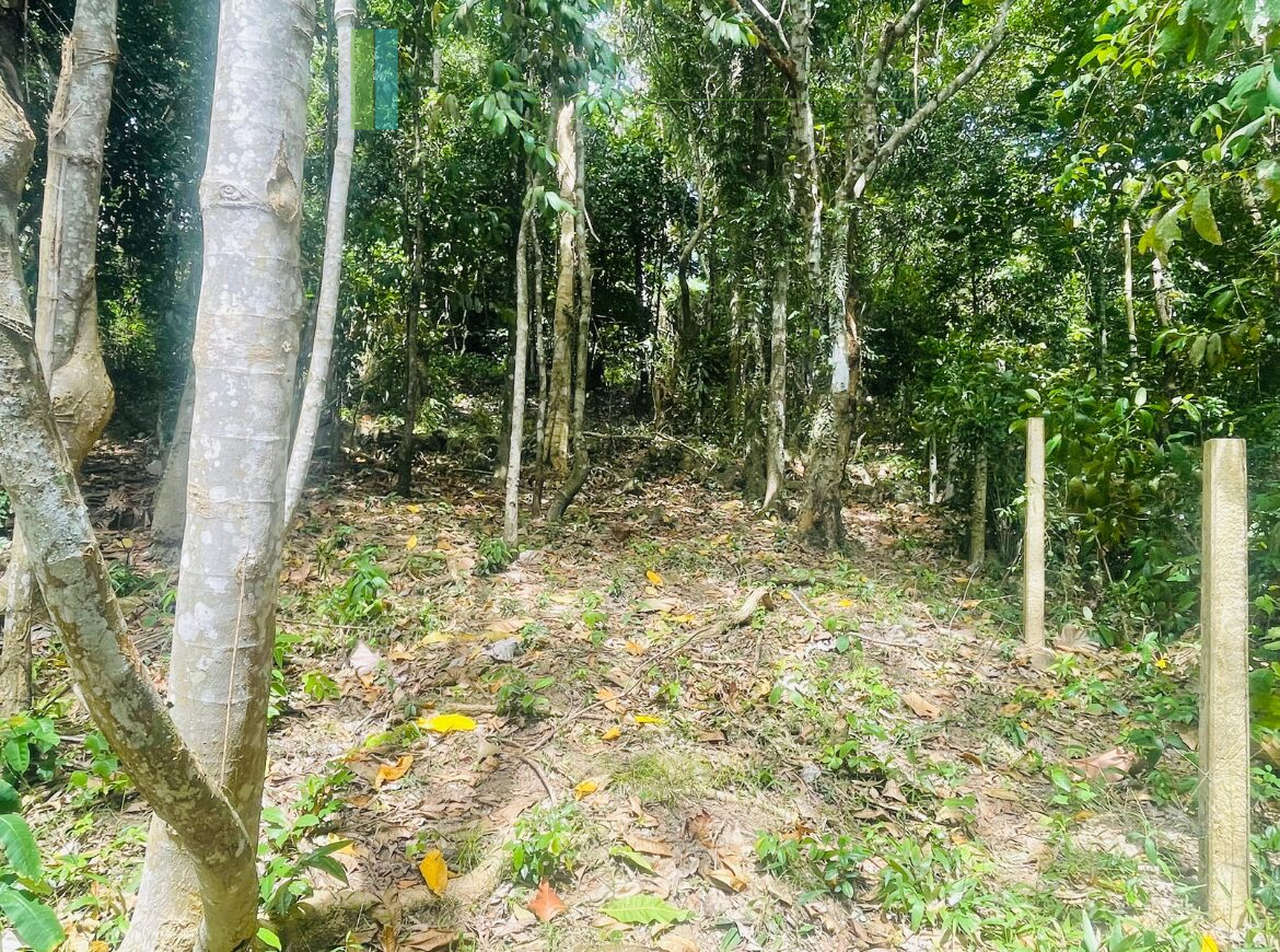 Elevated building plot near Talpe Beach