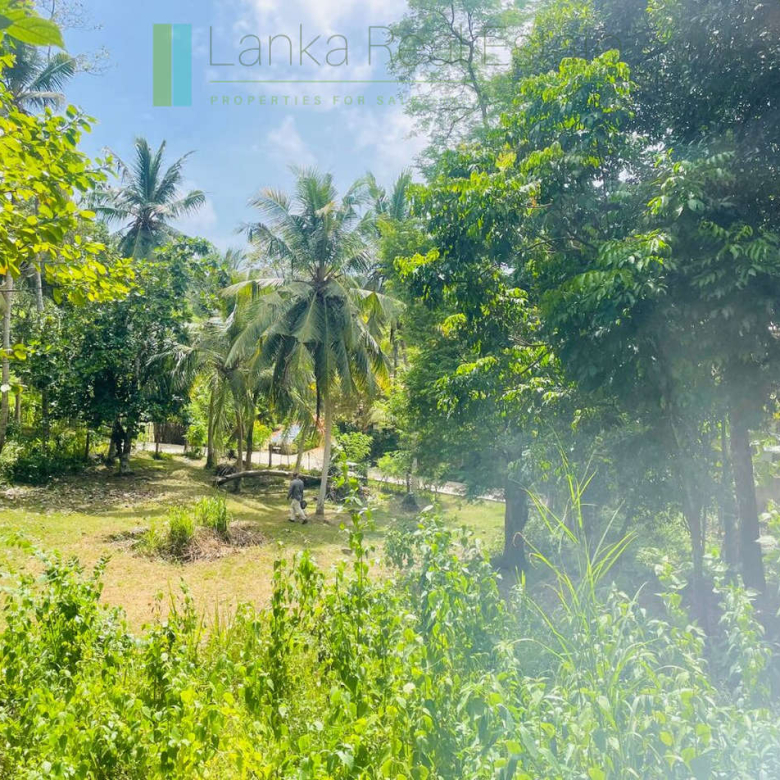 Elevated building plot near Talpe Beach