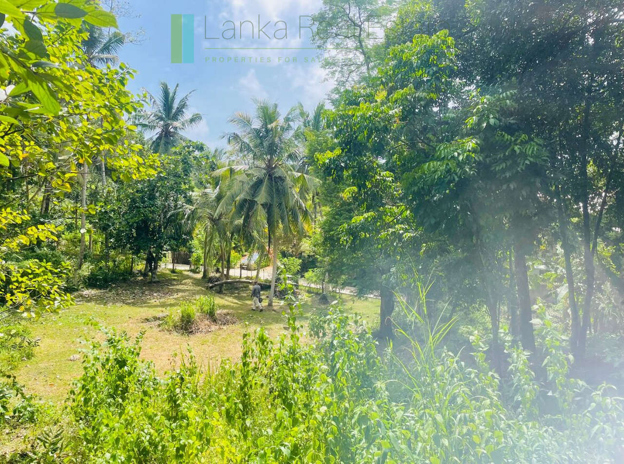Elevated building plot near Talpe Beach
