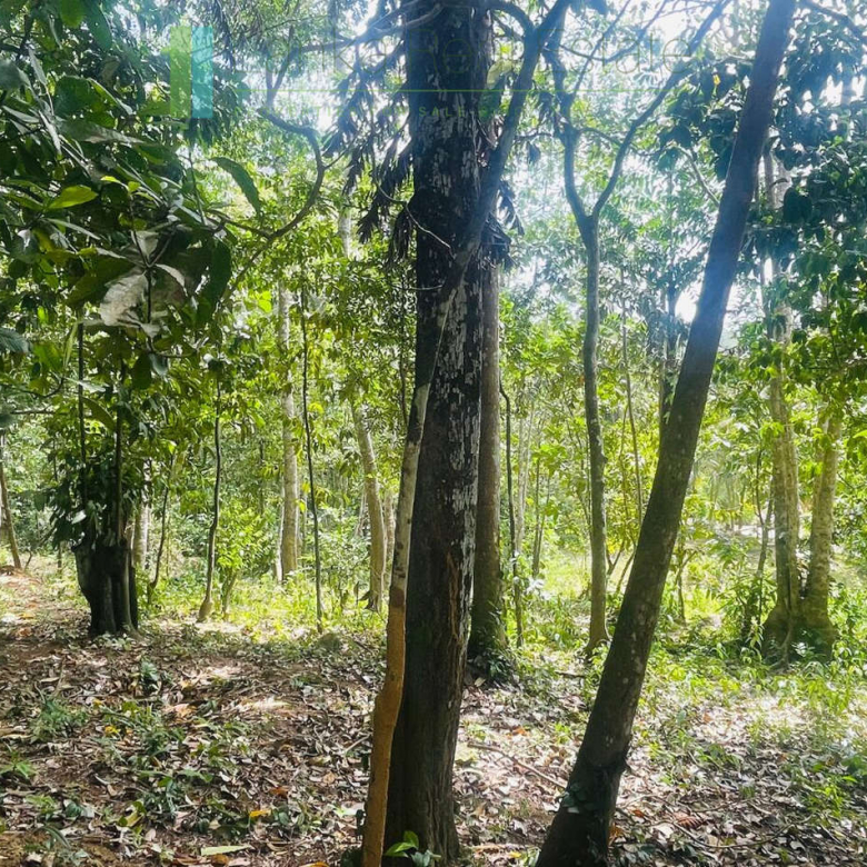 Elevated building plot near Talpe Beach