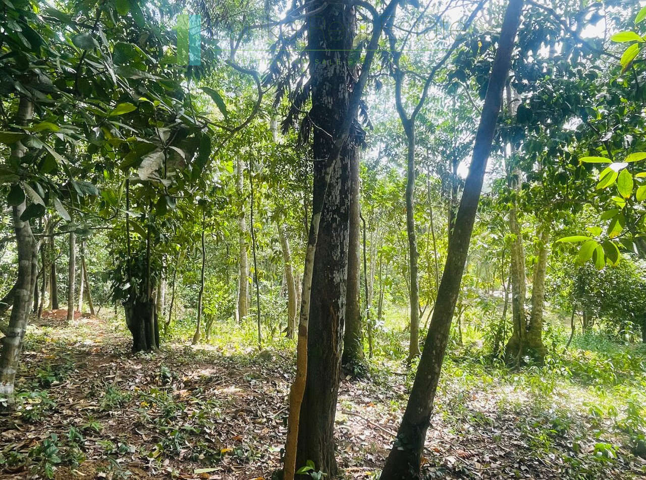 Elevated building plot near Talpe Beach