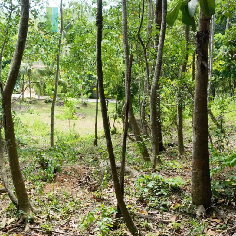 Elevated building plot near Talpe Beach