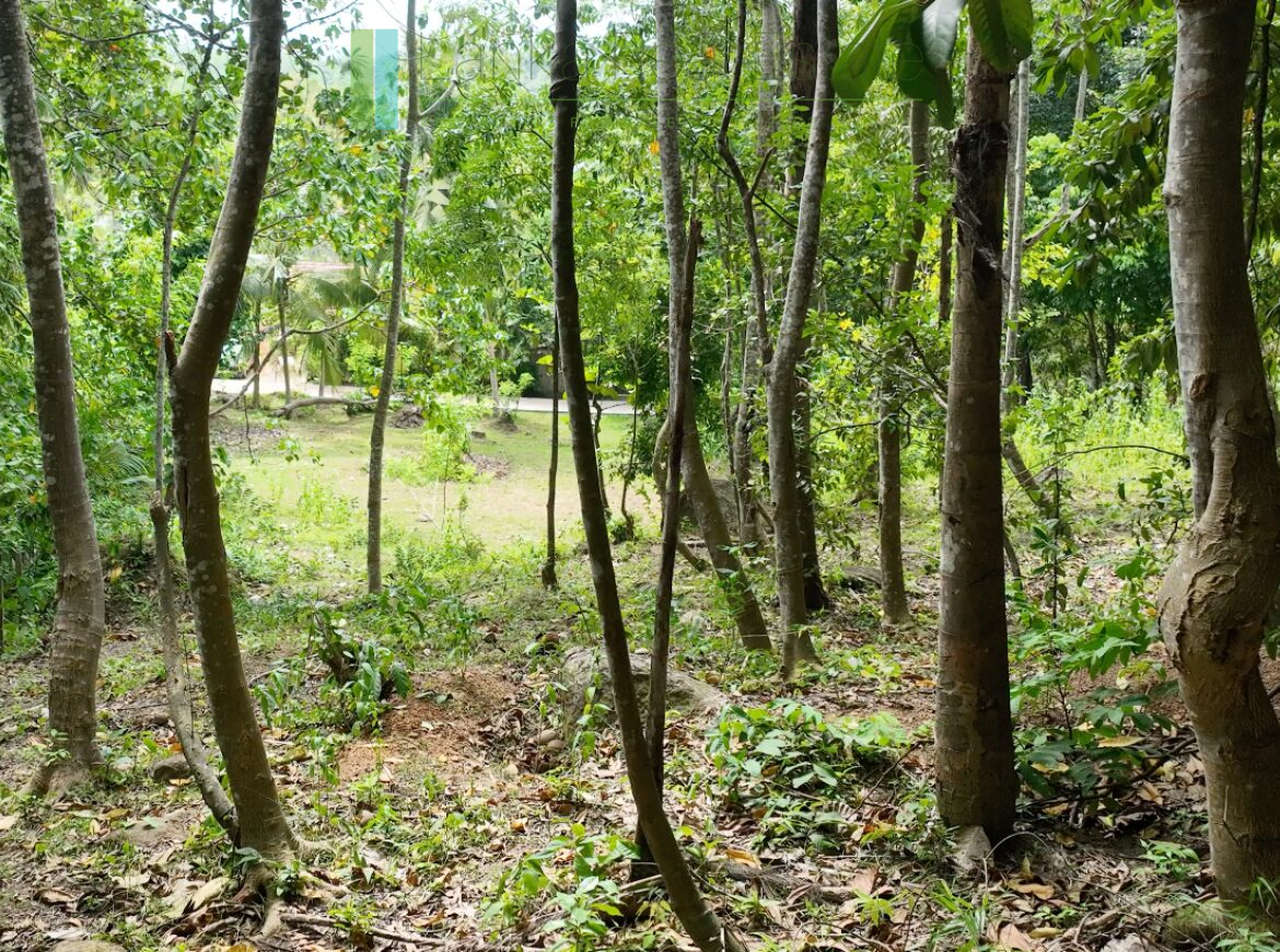 Elevated building plot near Talpe Beach