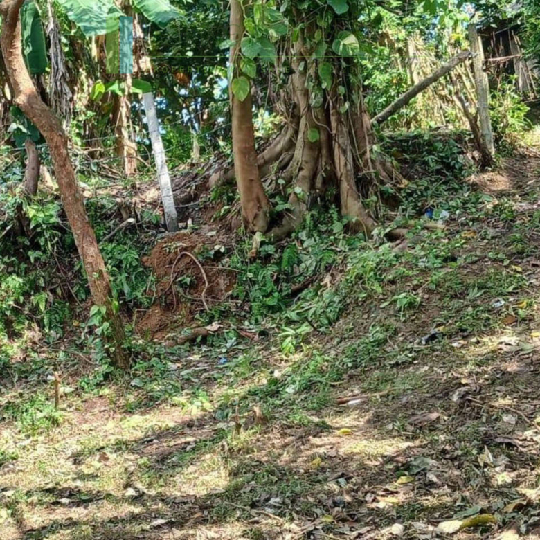 Development plot near Ahangama