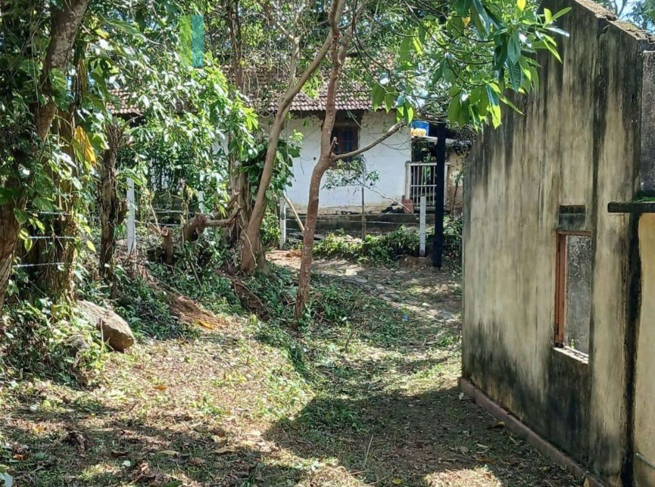 Development plot near Ahangama