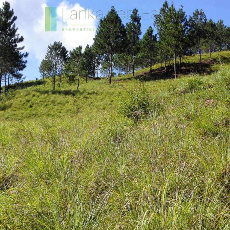 Superb ten acres in Ella with luxury resort concept plans