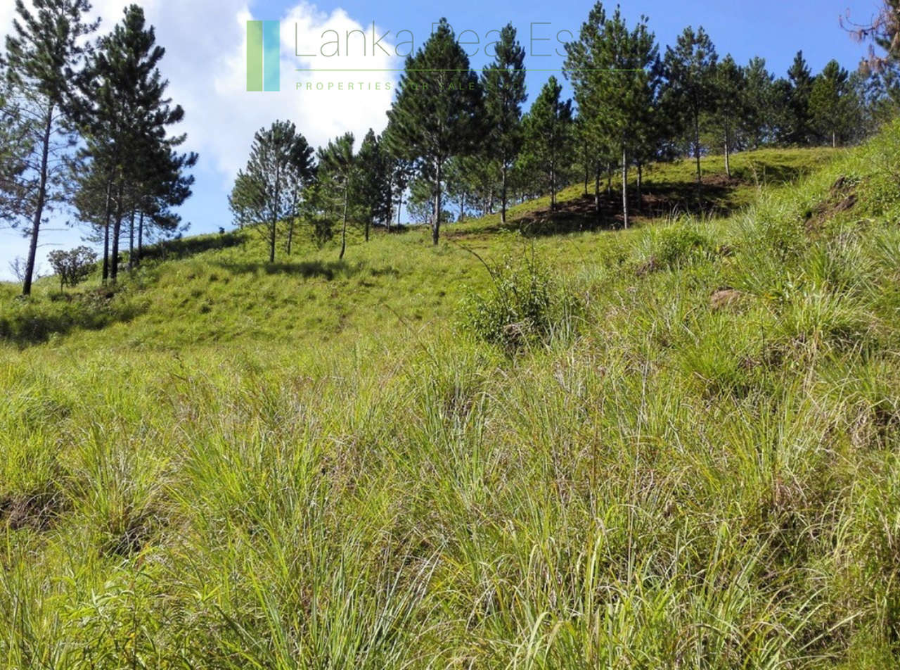 Superb ten acres in Ella with luxury resort concept plans
