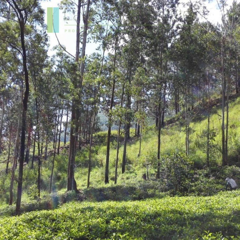 Superb ten acres in Ella with luxury resort concept plans