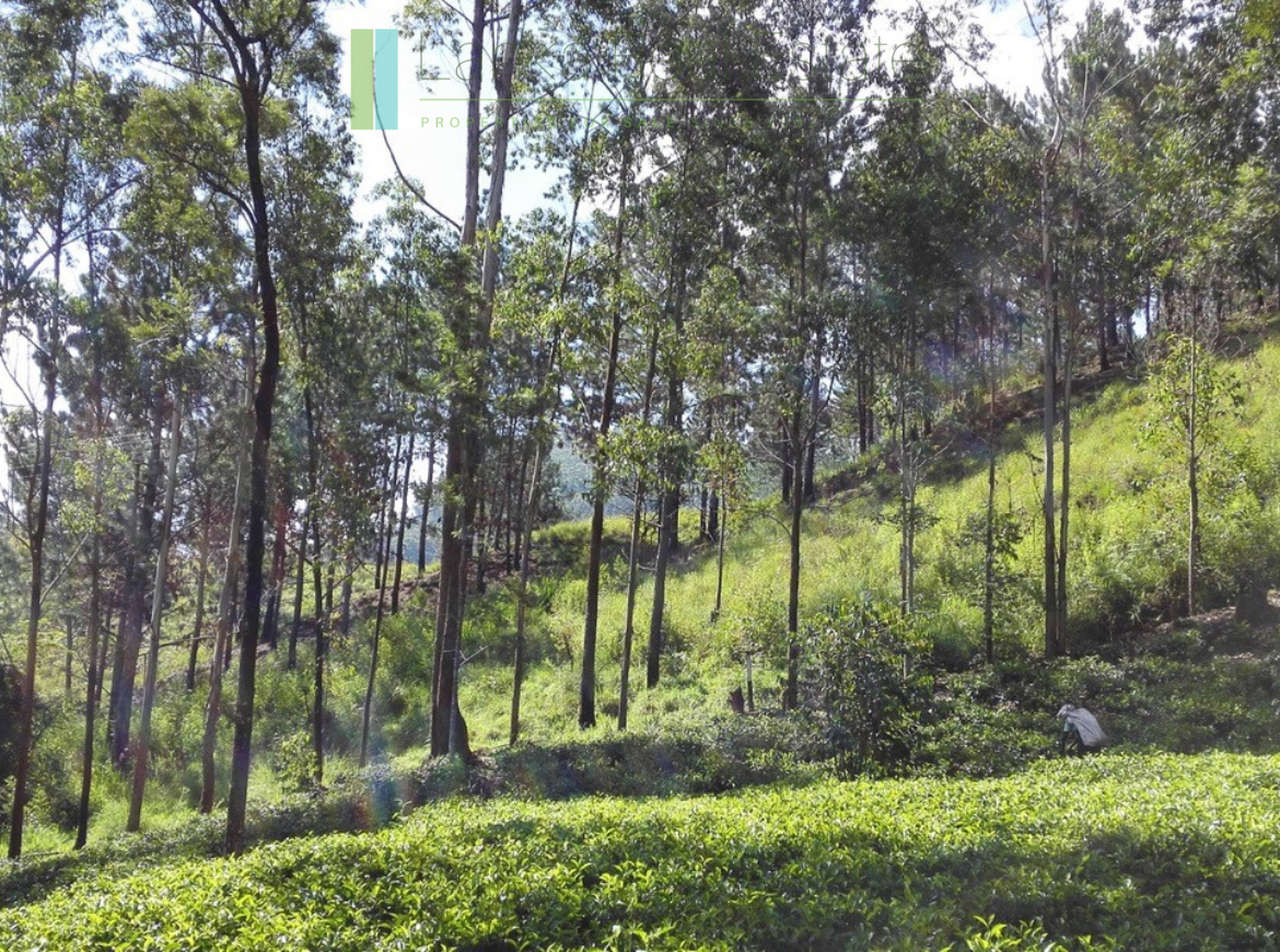 Superb ten acres in Ella with luxury resort concept plans
