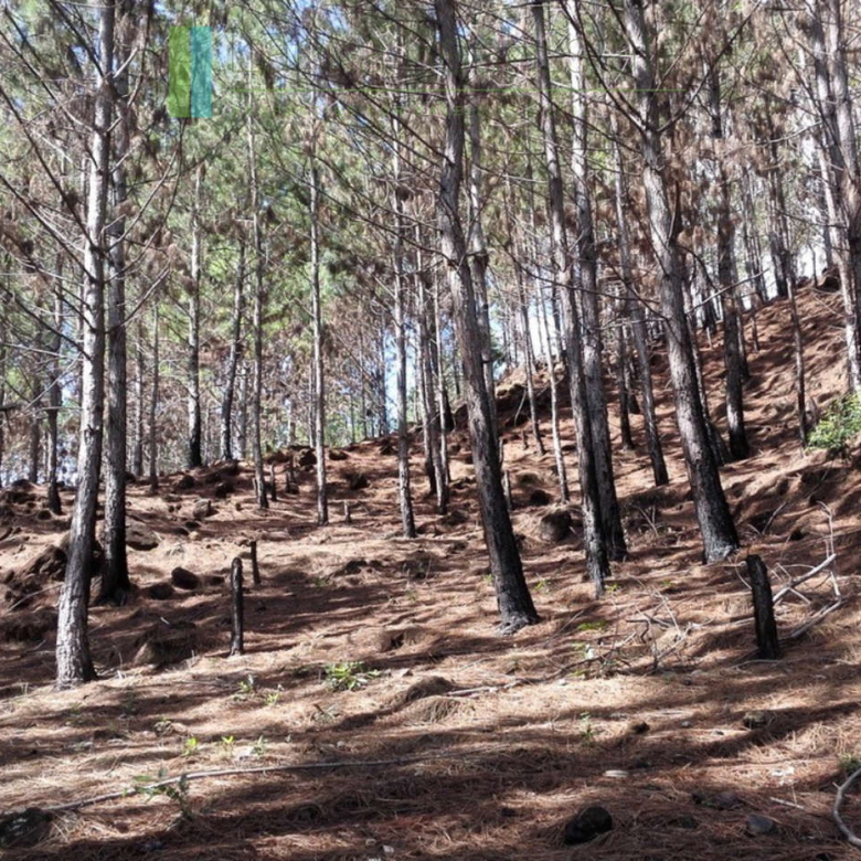 Superb ten acres in Ella with luxury resort concept plans