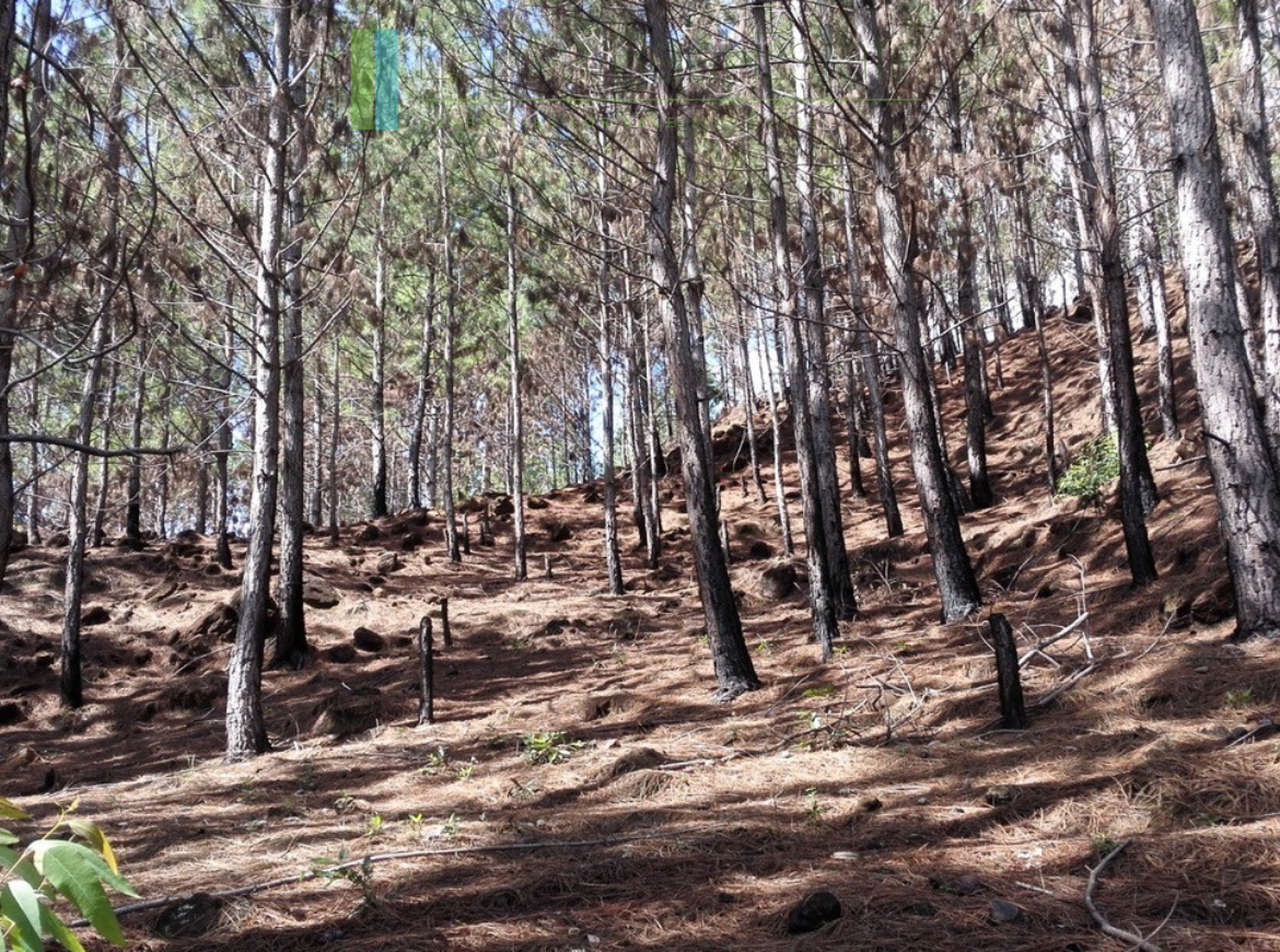 Superb ten acres in Ella with luxury resort concept plans