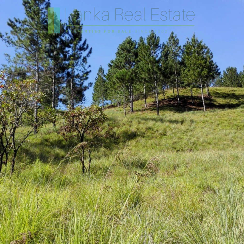 Superb ten acres in Ella with luxury resort concept plans