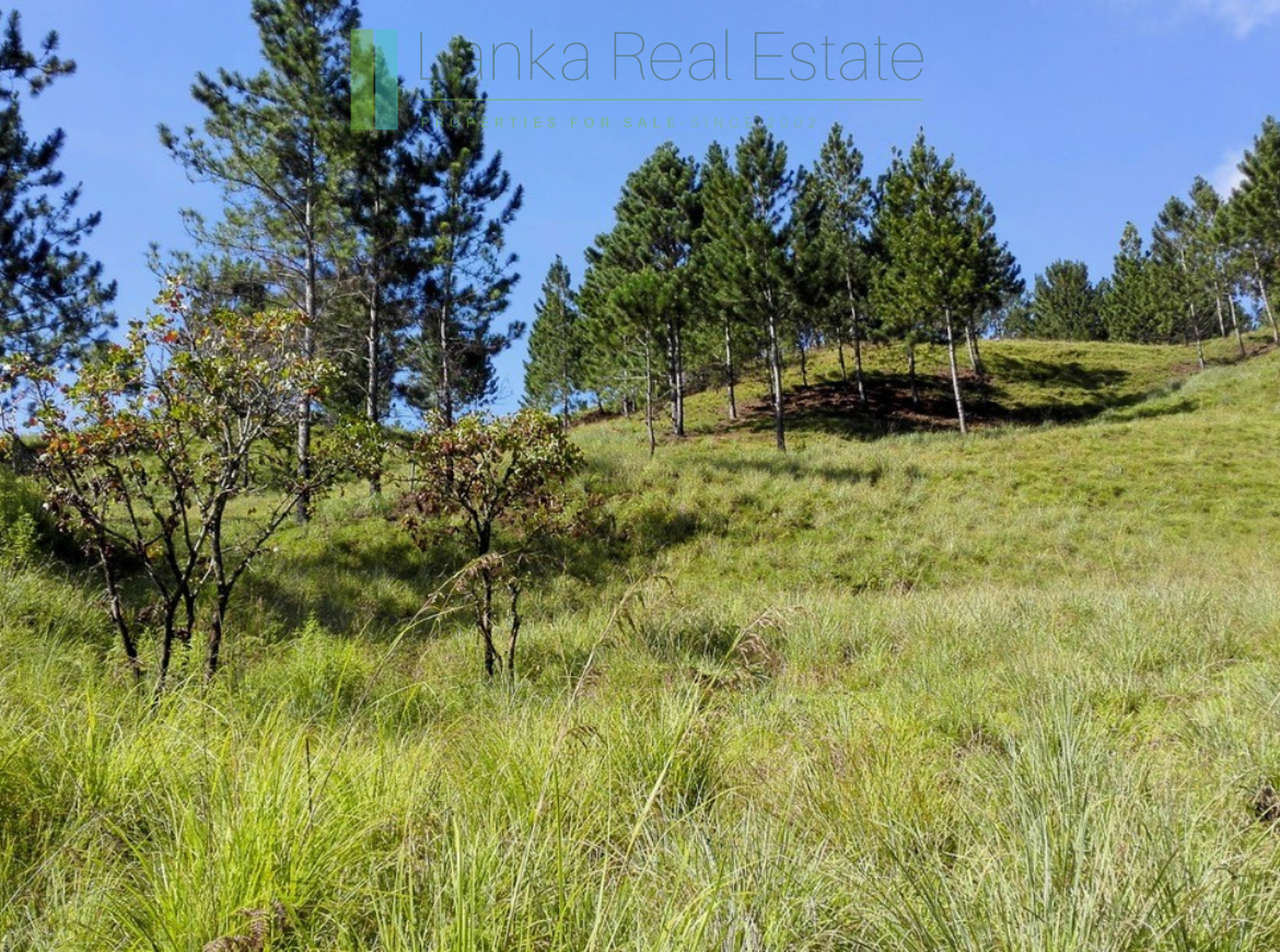 Superb ten acres in Ella with luxury resort concept plans