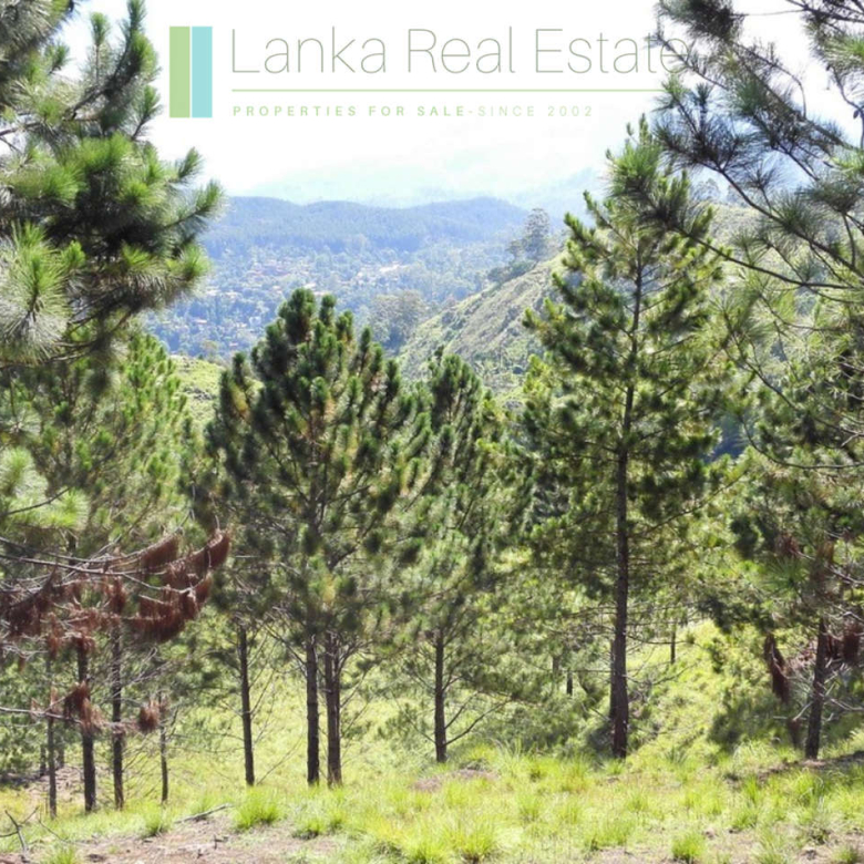 Superb ten acres in Ella with luxury resort concept plans