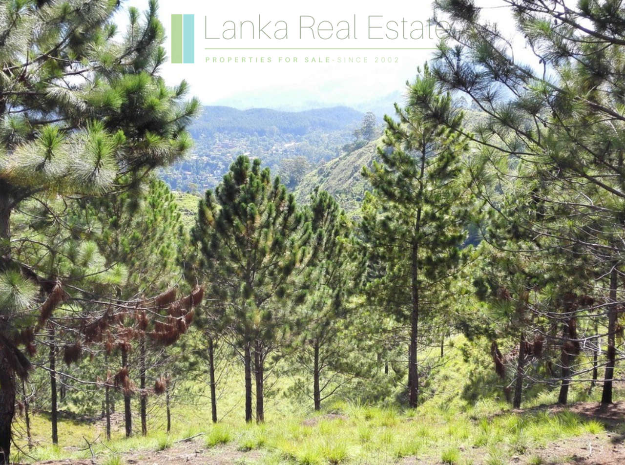 Superb ten acres in Ella with luxury resort concept plans