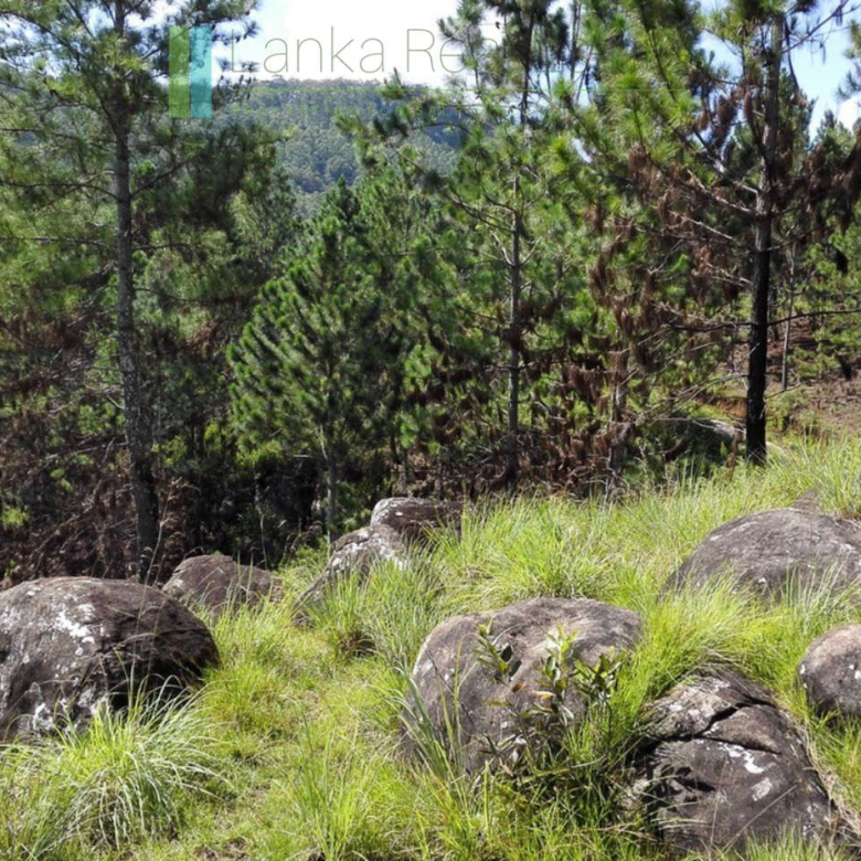 Superb ten acres in Ella with luxury resort concept plans