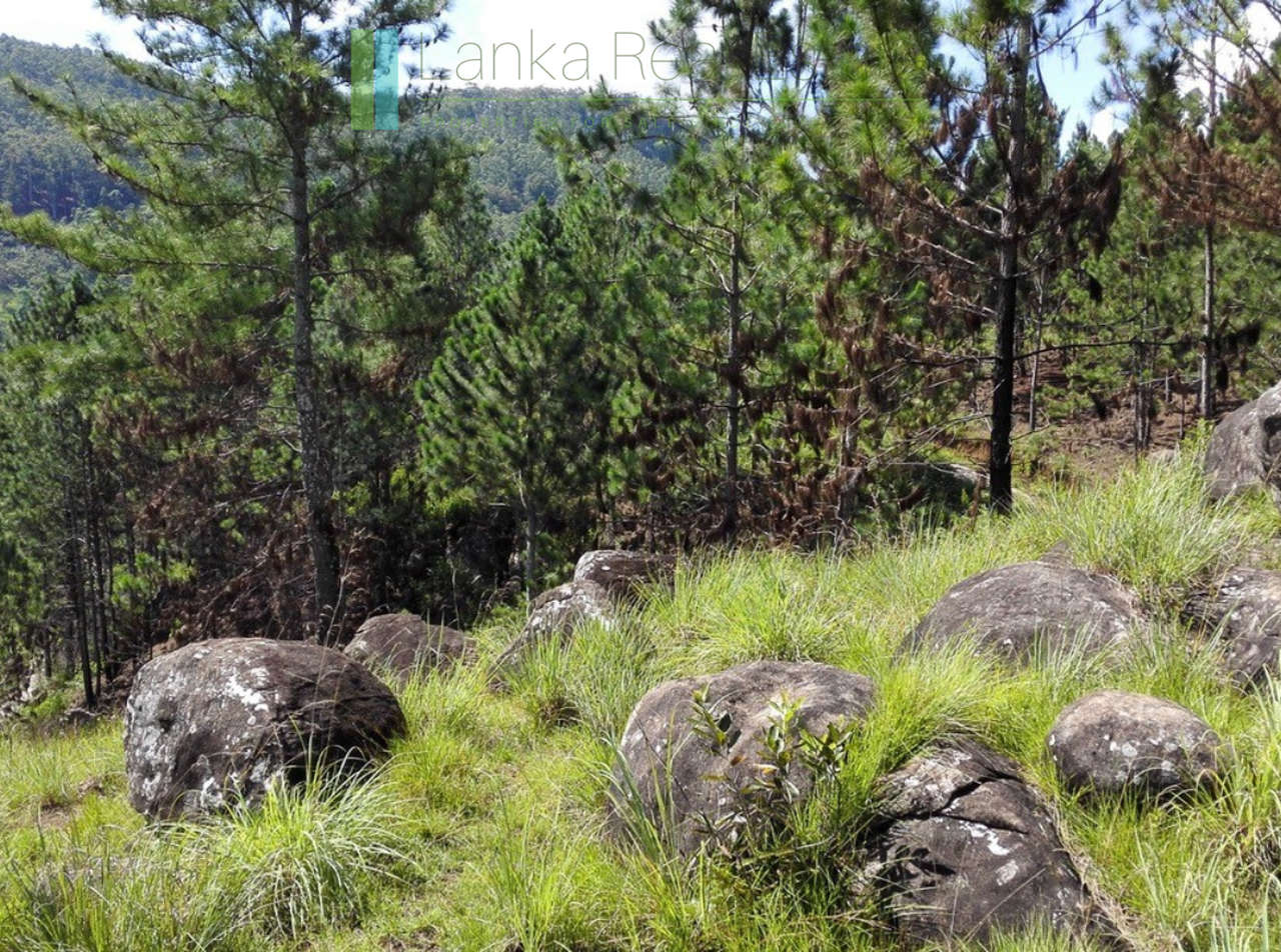 Superb ten acres in Ella with luxury resort concept plans