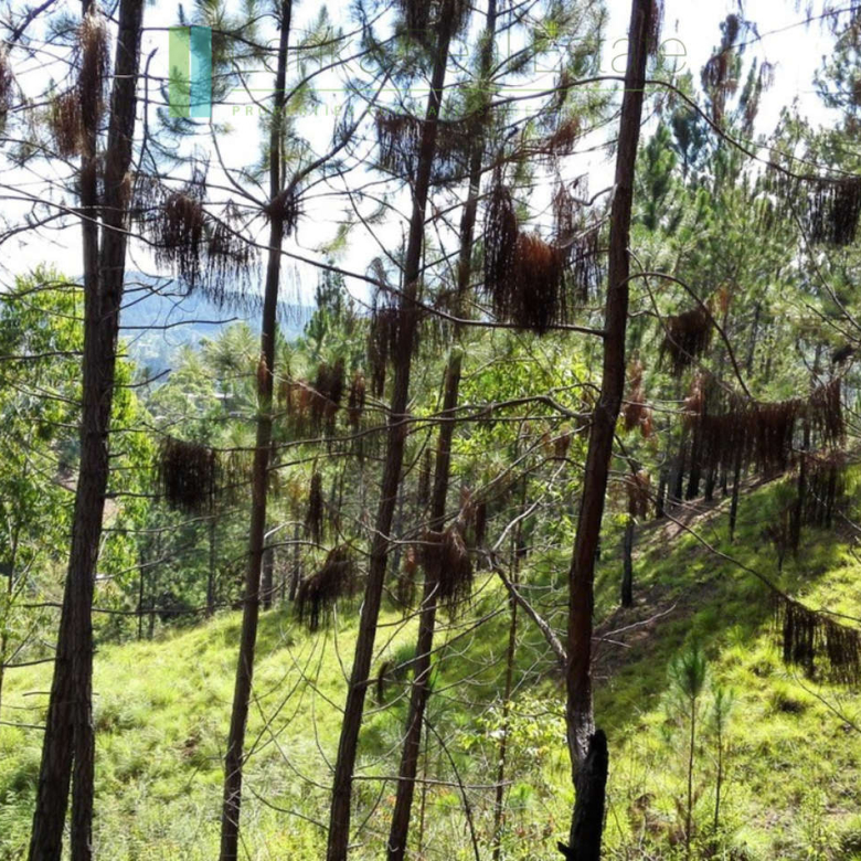 Superb ten acres in Ella with luxury resort concept plans