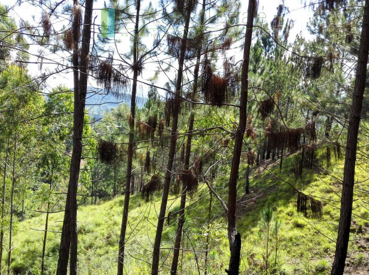 Superb ten acres in Ella with luxury resort concept plans