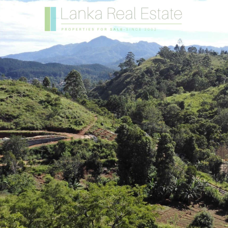 Superb ten acres in Ella with luxury resort concept plans
