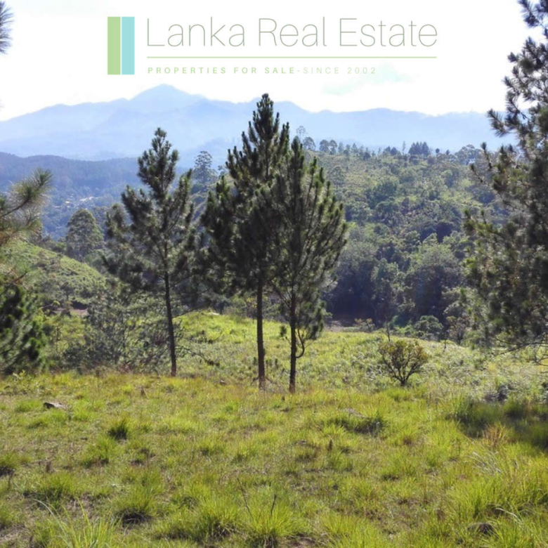 Superb ten acres in Ella with luxury resort concept plans