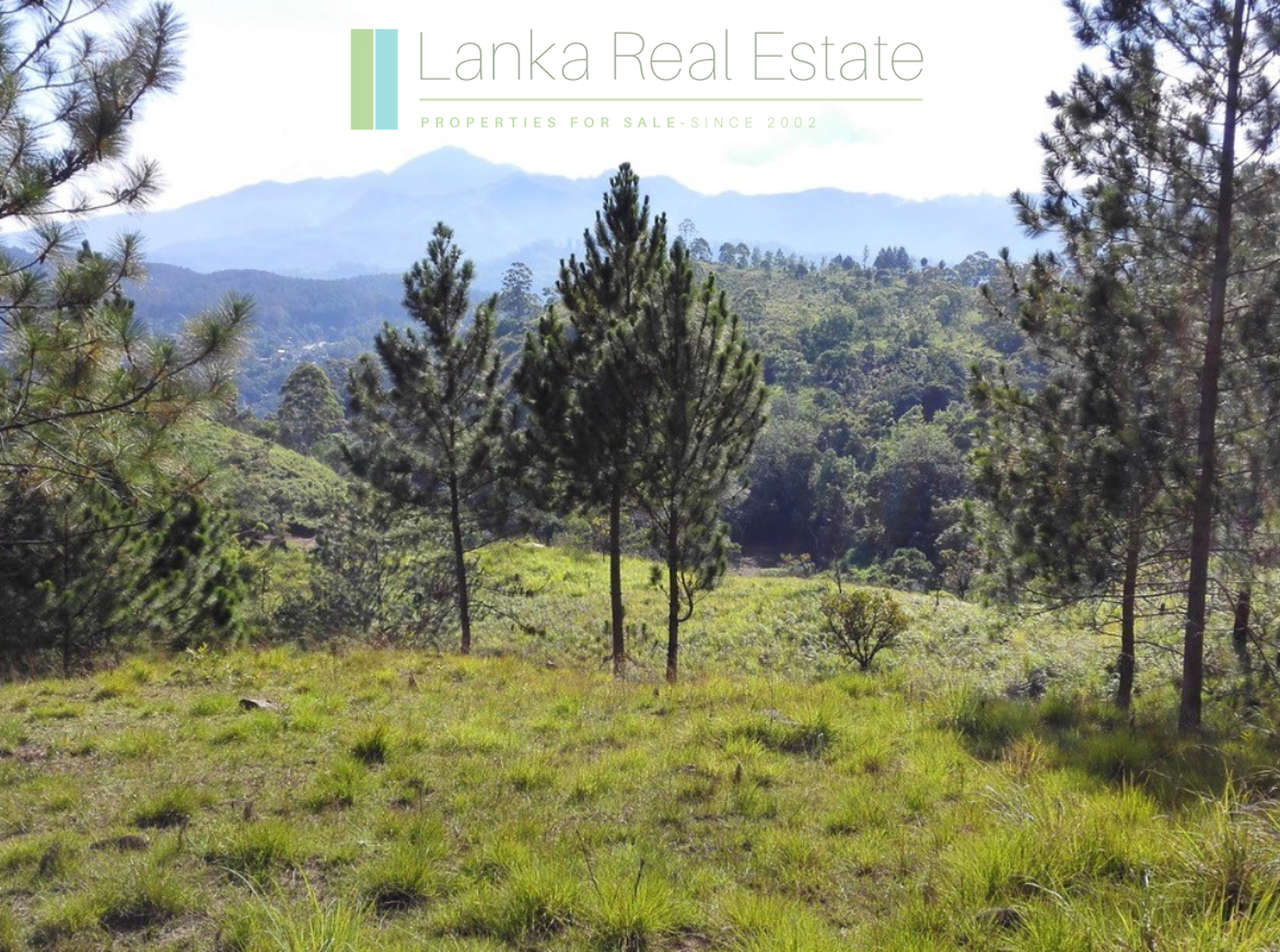 Superb ten acres in Ella with luxury resort concept plans